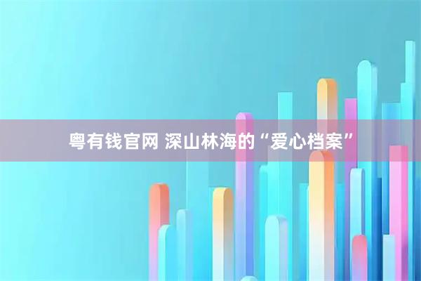 粤有钱官网 深山林海的“爱心档案”