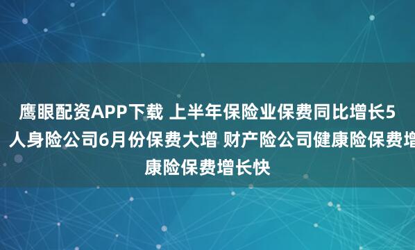 鹰眼配资APP下载 上半年保险业保费同比增长5.3%：人身险公司6月份保费大增 财产险公司健康险保费增长快